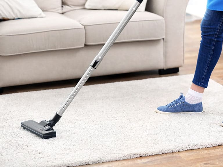 Top 10 Best Vacuum Cleaners for High Pile Carpet To Buy 2023