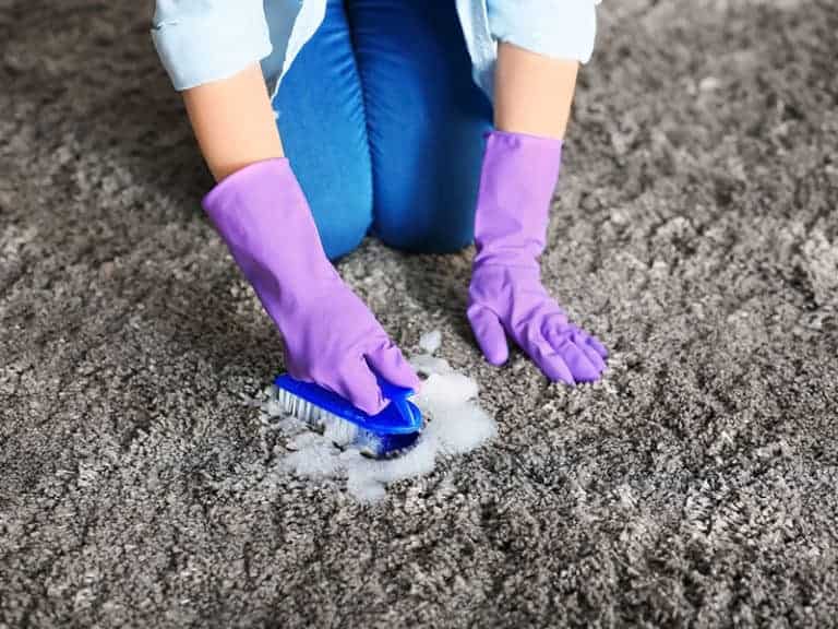 Top 15 Best Carpet Cleaners For Old Pet Urine To Buy 2022