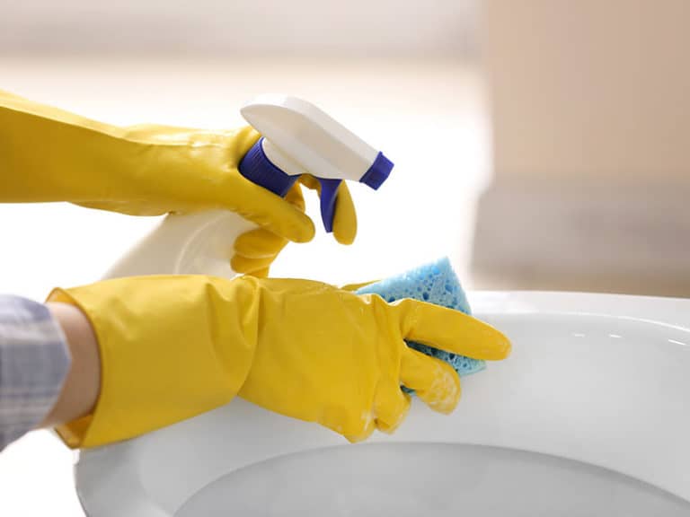 Top 15 Best Bathroom Cleaners On The Market (2022 Reviews)