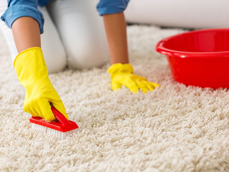 How to Clean Carpet by Hand DeepCleaning Guide 2023